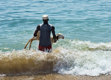 IFM_Sudan shipping accident-image