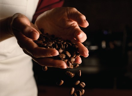 IFM_ coffee production